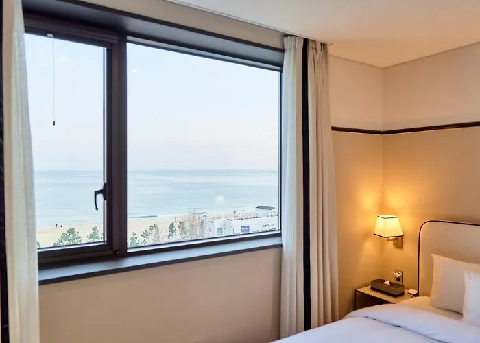 Brown Dot Songjung Busan